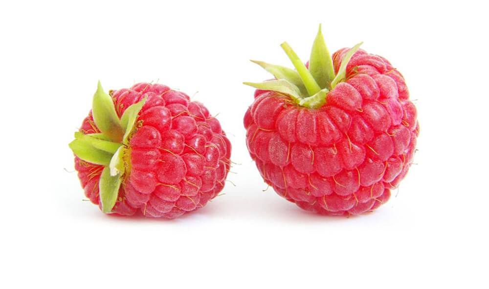 Blue Lace Long Sleeve Dress