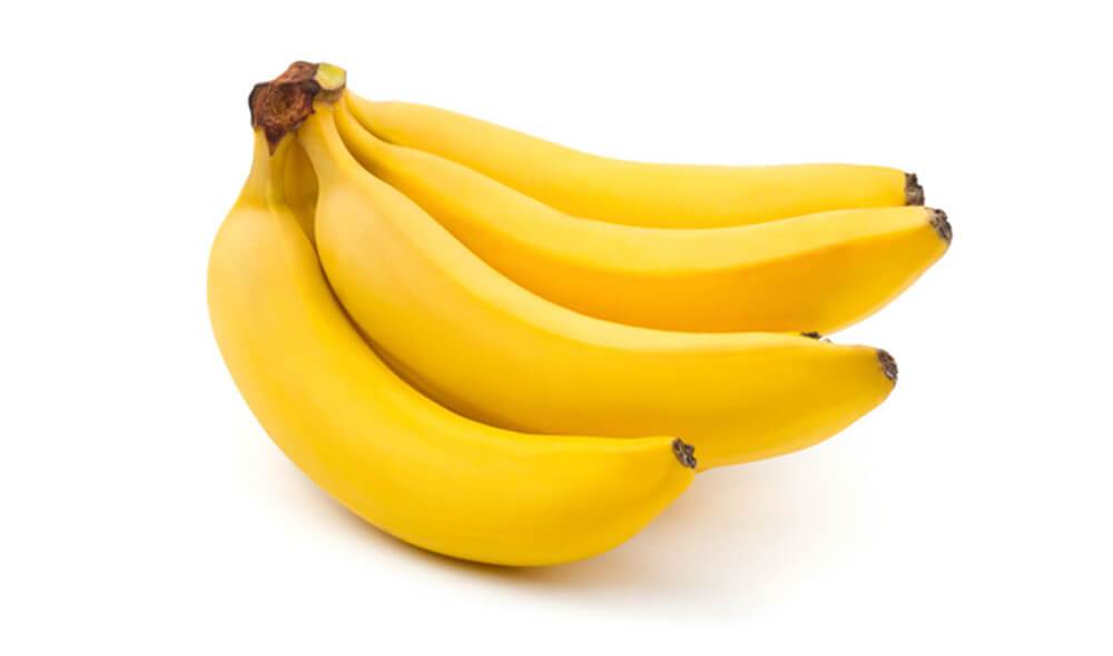 Jumper With Turtle Neck